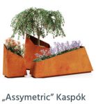 „Assymetric” Kaspók