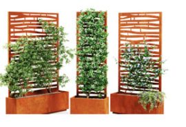 Kaspók Háttérfallal