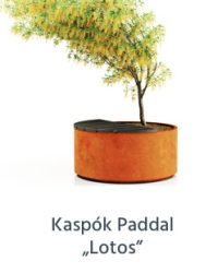Kaspók Paddal „Lotos”