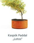 Kaspók Paddal „Lotos”